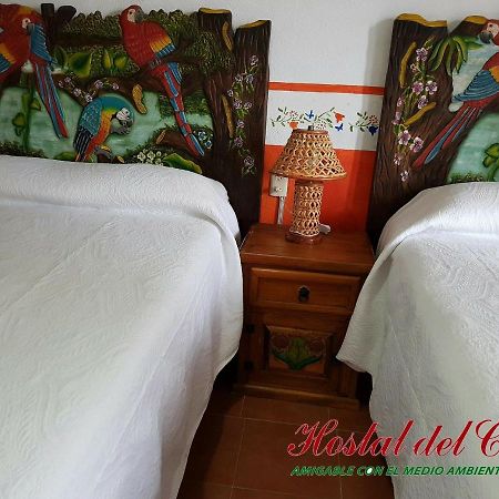 Hotel Hostal Del Cafe Xilitla Kültér fotó