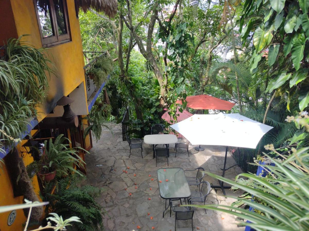 Hotel Hostal Del Cafe Xilitla Kültér fotó
